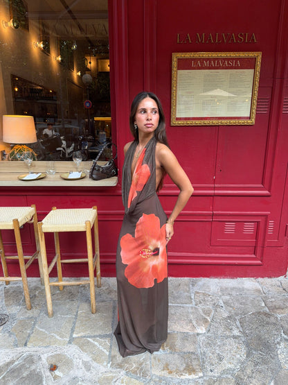 Columbine maxi dress – Brown with red flowers