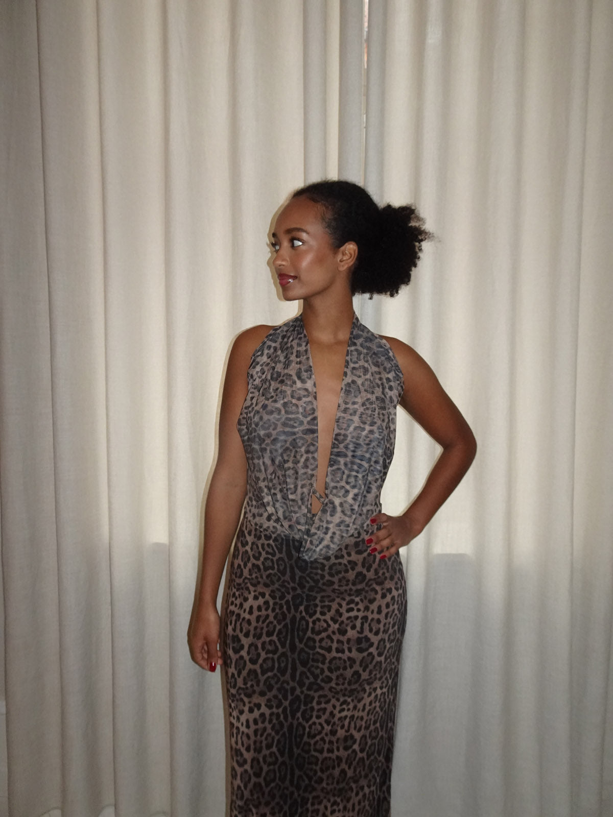 Columbine maxi dress - leopard